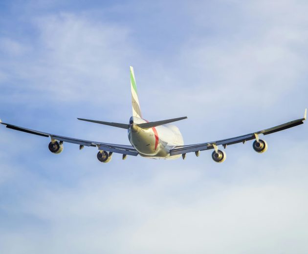 pexels-jimbear-957768